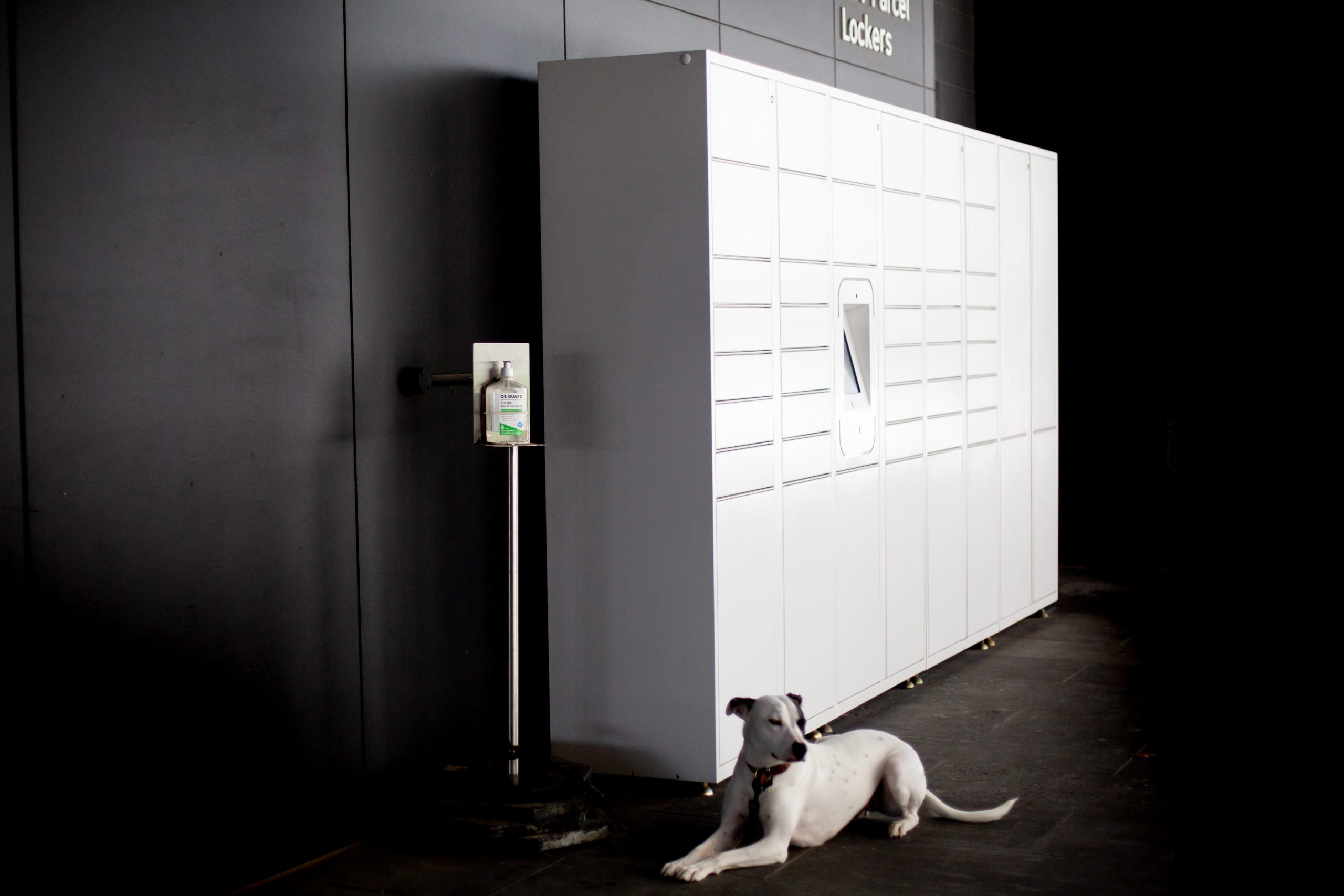 EBV with a parcel locker solution